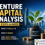 venture capital analysis explained